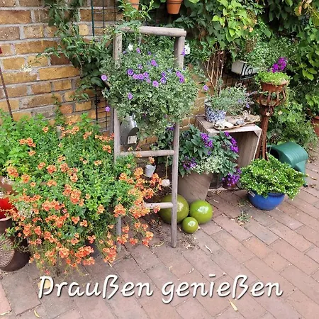 Neu! Stilvolle Finsterwalde